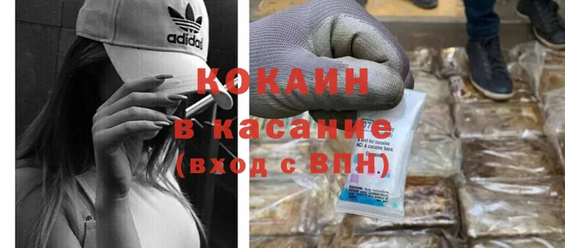 MEGA вход  дарнет шоп  Сурск  Cocaine Fish Scale 